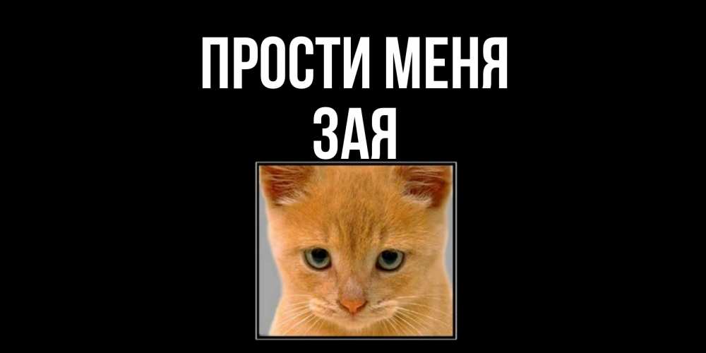 Открытка на каждый день с именем, ЗАЯ Прости меня рыжий грустный кот просит прощения Прикольная открытка с пожеланием онлайн скачать бесплатно 