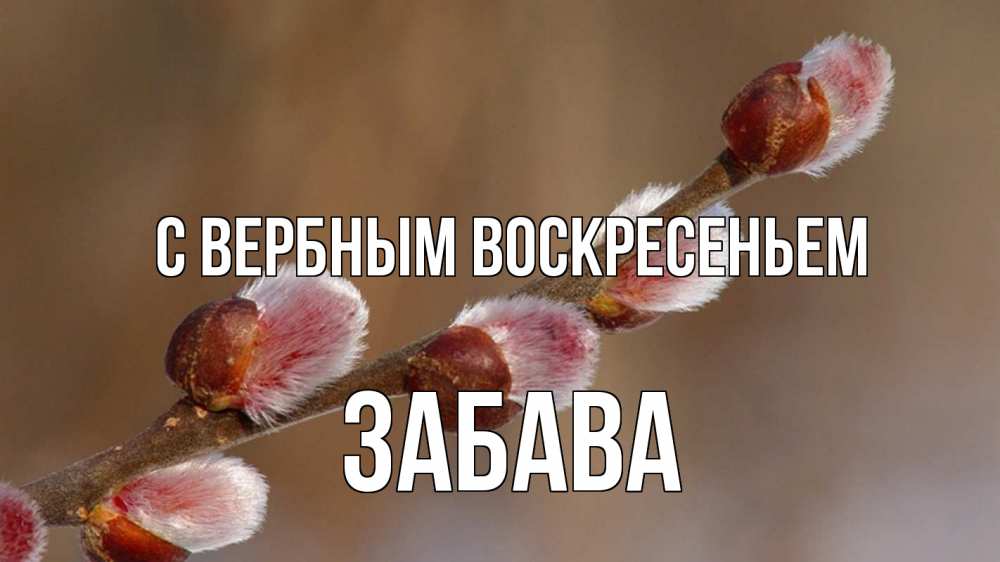Открытка на каждый день с именем, Забава С вербным воскресеньем верба Прикольная открытка с пожеланием онлайн скачать бесплатно 