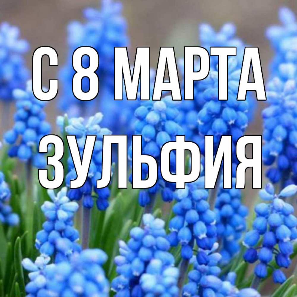 Открытка на каждый день с именем, Зульфия С 8 МАРТА Поздравительная открытка для женщин с цветами на праздничную дату Прикольная открытка с пожеланием онлайн скачать бесплатно 