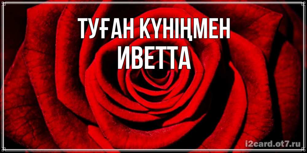 Открытка на каждый день с именем, Иветта Туған күніңмен алая роза Прикольная открытка с пожеланием онлайн скачать бесплатно 