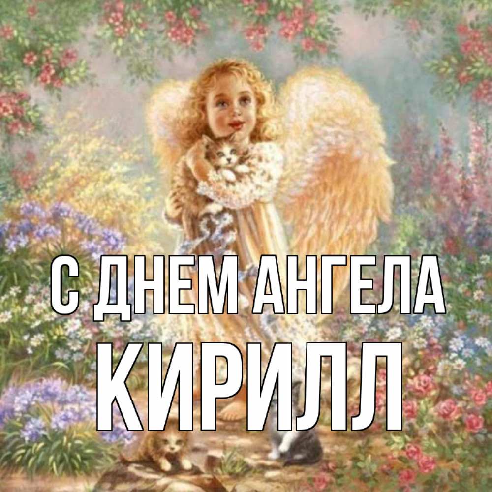 Открытка на каждый день с именем, Кирилл С днем ангела держит котенка Прикольная открытка с пожеланием онлайн скачать бесплатно 