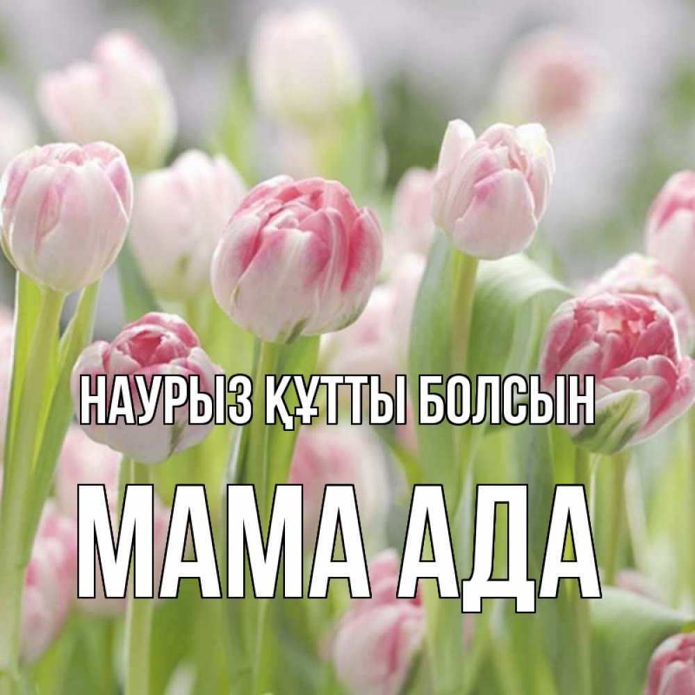 Открытка на каждый день с именем, Мама-Ада Наурыз құтты болсын цветы Прикольная открытка с пожеланием онлайн скачать бесплатно 