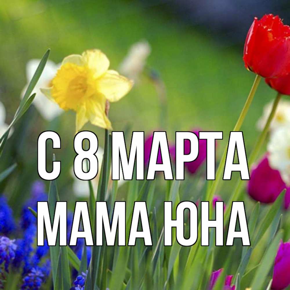 Открытка на каждый день с именем, Мама-Юна С 8 МАРТА международный женский день 3 Прикольная открытка с пожеланием онлайн скачать бесплатно 