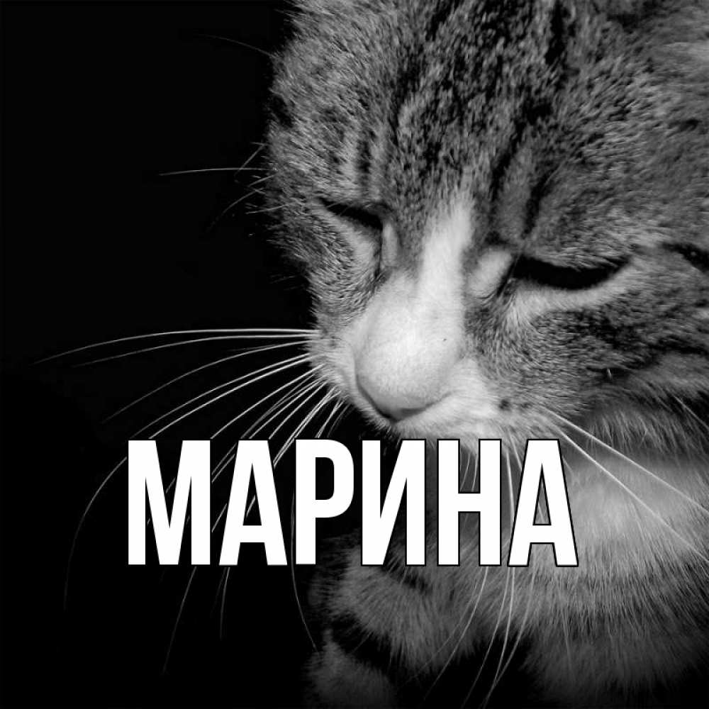 Открытка на каждый день с именем, Марина Главная мне скучно Прикольная открытка с пожеланием онлайн скачать бесплатно 