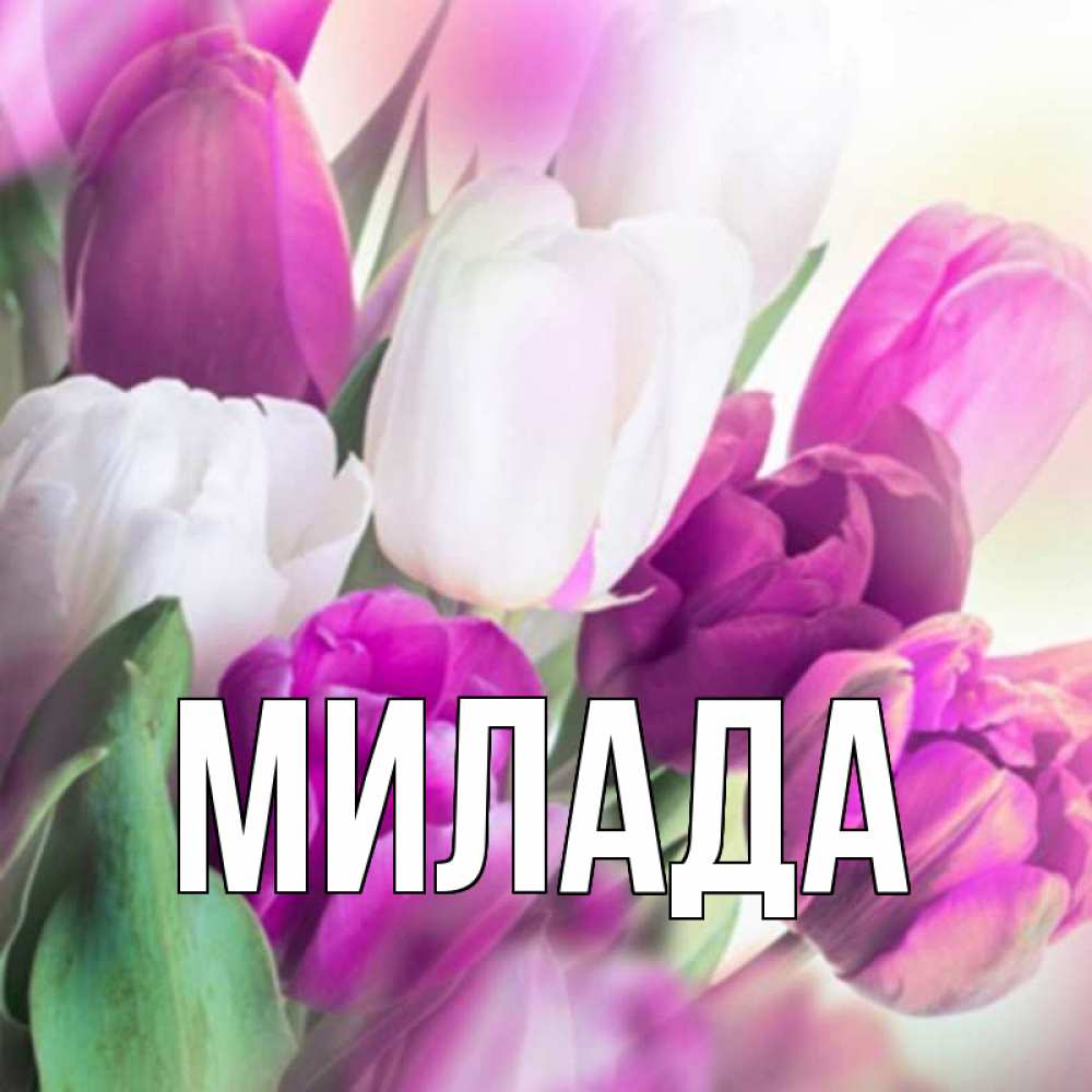 Открытка на каждый день с именем, Милада Главная весна 1 Прикольная открытка с пожеланием онлайн скачать бесплатно 