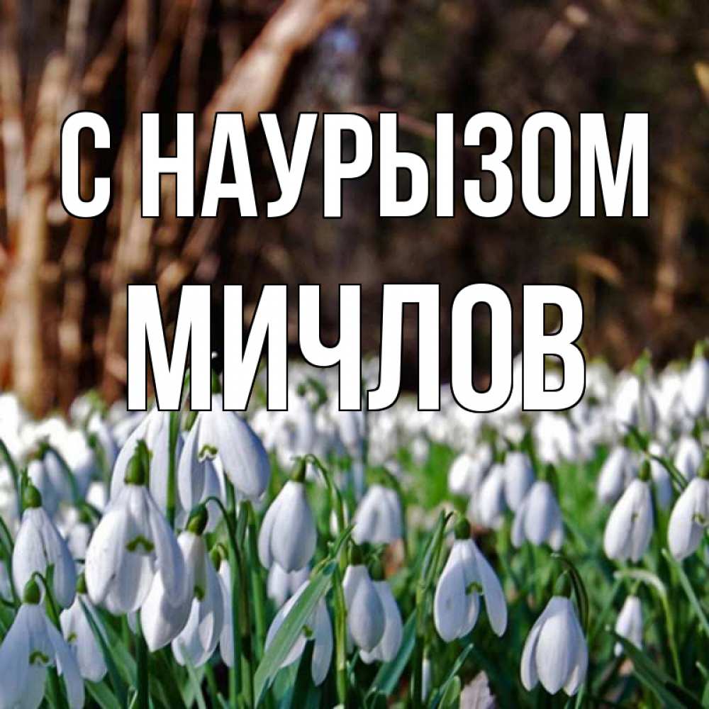 Открытка на каждый день с именем, Мичлов С наурызом с подснежниками 1 Прикольная открытка с пожеланием онлайн скачать бесплатно 