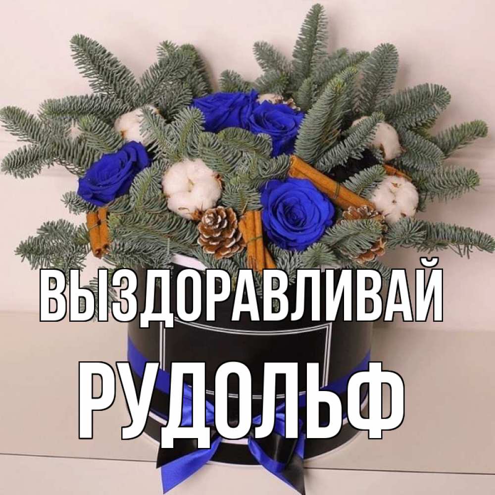 Открытка на каждый день с именем, Рудольф Выздоравливай короче кто то загрузил эти шишки Прикольная открытка с пожеланием онлайн скачать бесплатно 