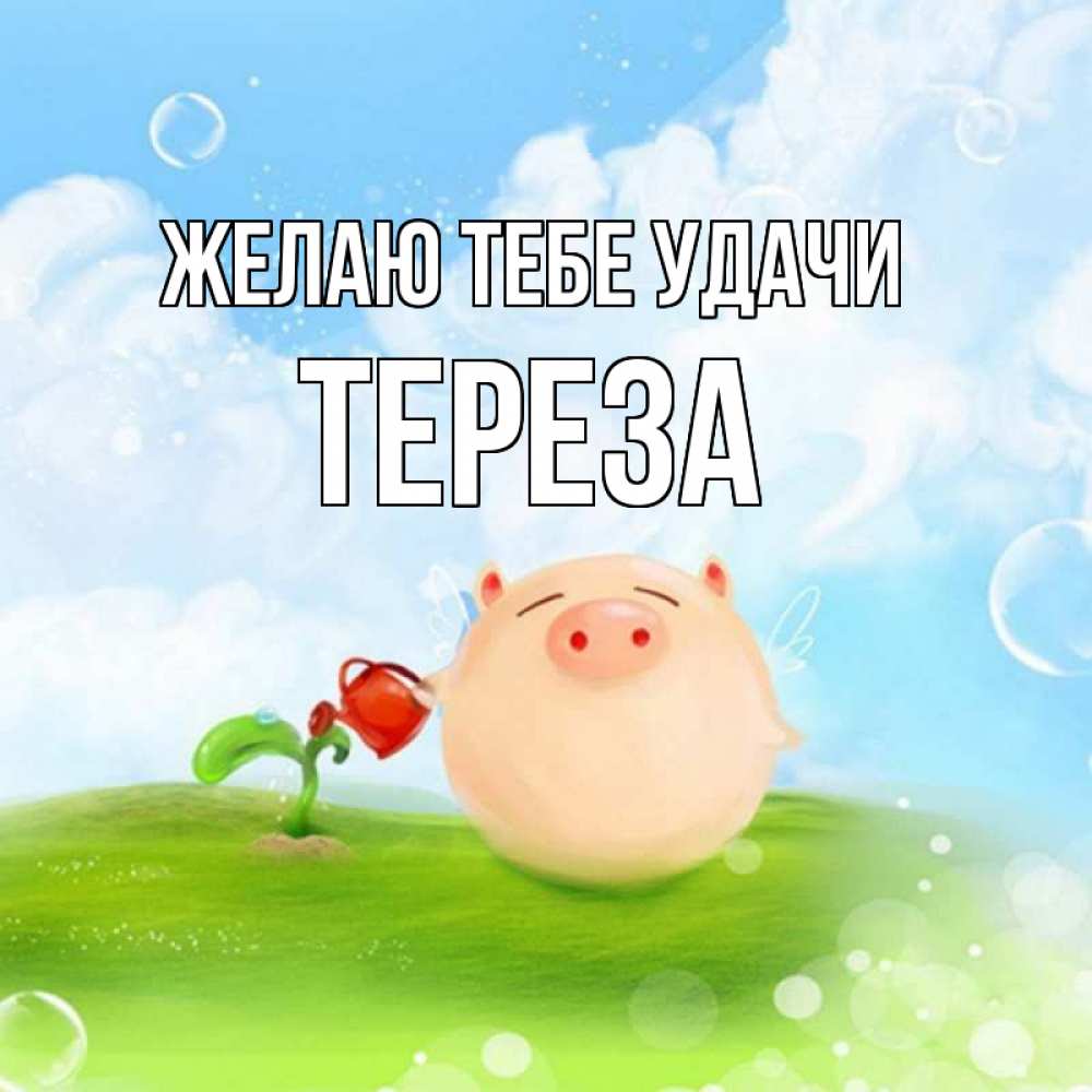 Открытка на каждый день с именем, Тереза Желаю тебе удачи поросенок поливает цветок. летнее настроение Прикольная открытка с пожеланием онлайн скачать бесплатно 