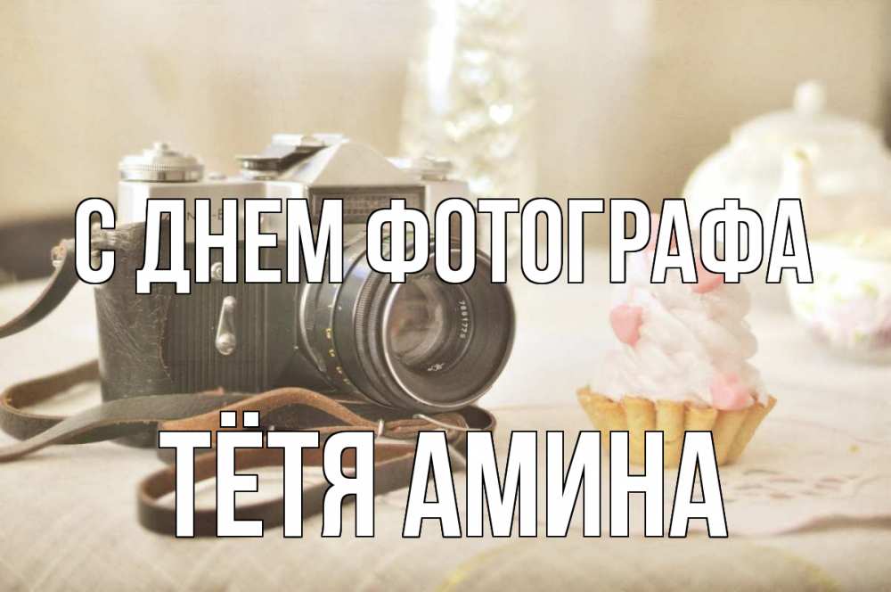 Открытка на каждый день с именем, Тётя-Амина С днем фотографа с днем фотографа Прикольная открытка с пожеланием онлайн скачать бесплатно 
