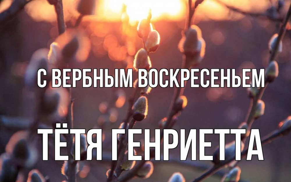Открытка на каждый день с именем, Тётя-Генриетта С вербным воскресеньем верба Прикольная открытка с пожеланием онлайн скачать бесплатно 