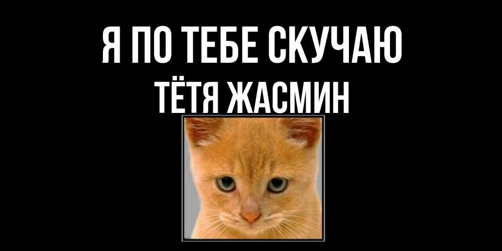 Открытка на каждый день с именем, Тётя-Жасмин Я по тебе скучаю открытки рыжий котенок скучает по тебе Прикольная открытка с пожеланием онлайн скачать бесплатно 