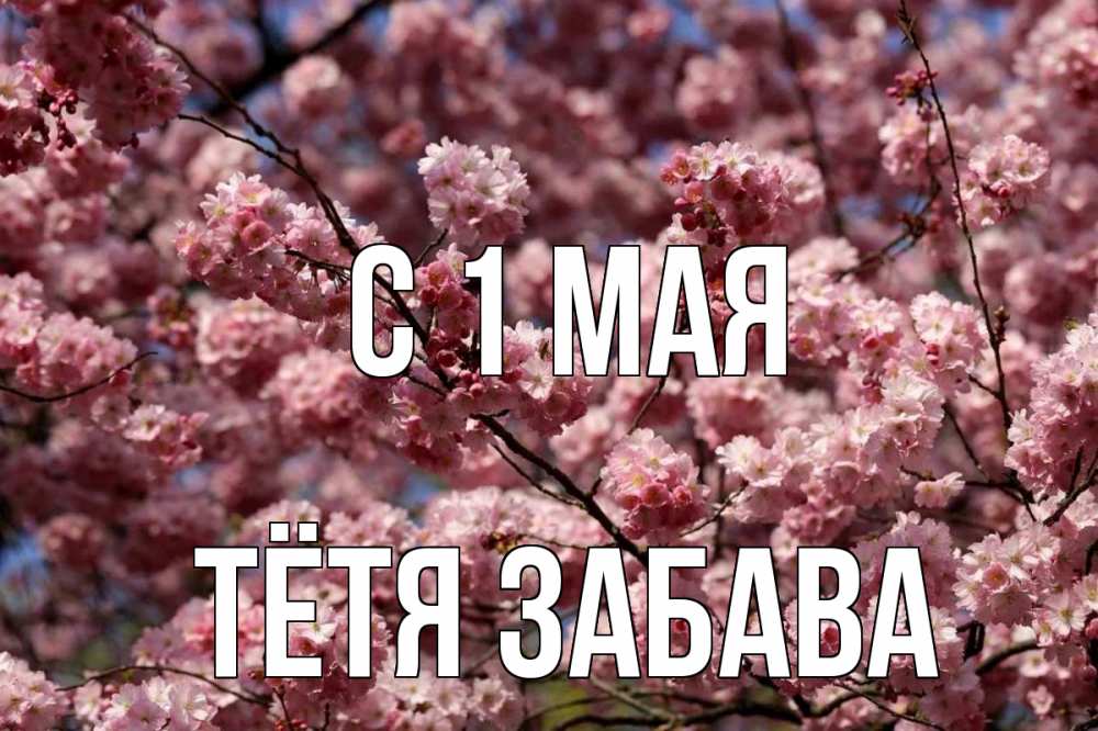 Открытка на каждый день с именем, Тётя-Забава С 1 мая С 1 мая Прикольная открытка с пожеланием онлайн скачать бесплатно 