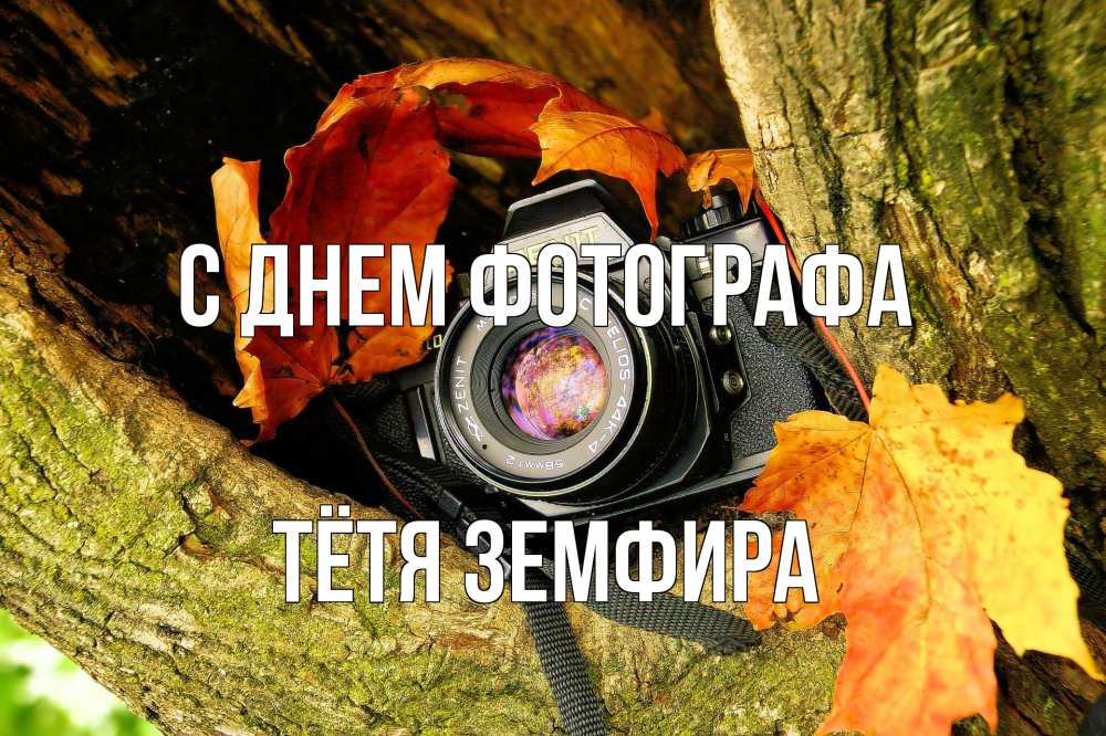 Открытка на каждый день с именем, Тётя-Земфира С днем фотографа с днем фотографа 1 Прикольная открытка с пожеланием онлайн скачать бесплатно 
