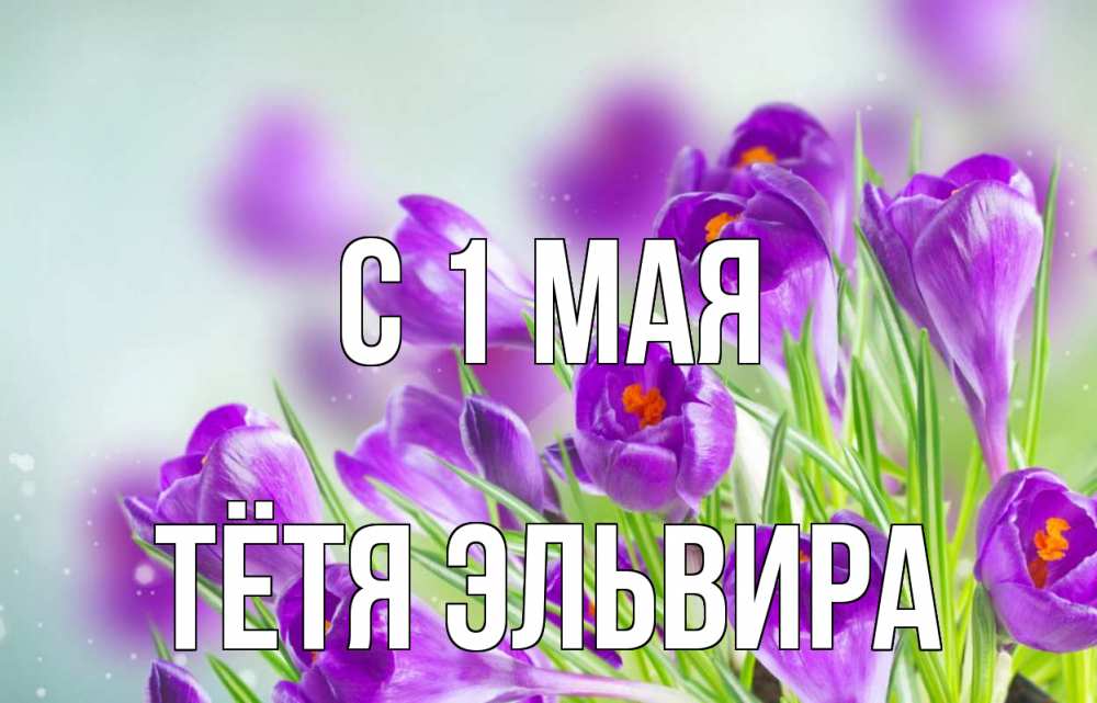 Открытка на каждый день с именем, Тётя-Эльвира С 1 мая 1 мая Прикольная открытка с пожеланием онлайн скачать бесплатно 