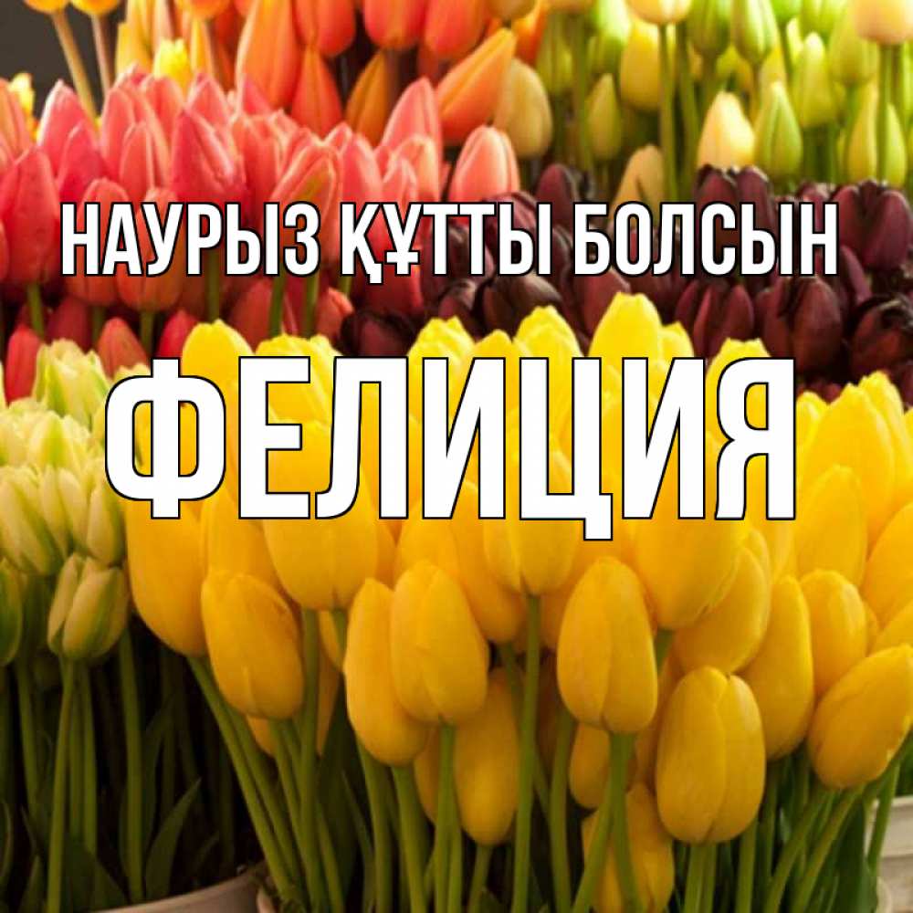 Открытка на каждый день с именем, Фелиция Наурыз құтты болсын цветы Прикольная открытка с пожеланием онлайн скачать бесплатно 