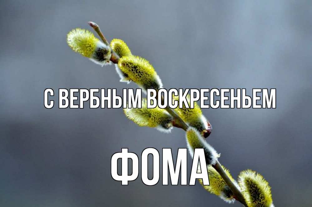 Открытка на каждый день с именем, Фома С вербным воскресеньем верба Прикольная открытка с пожеланием онлайн скачать бесплатно 