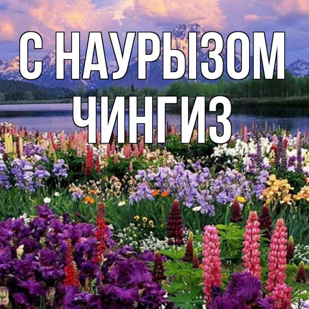 Открытка на каждый день с именем, Чингиз С наурызом праздник весны наурыз Прикольная открытка с пожеланием онлайн скачать бесплатно 