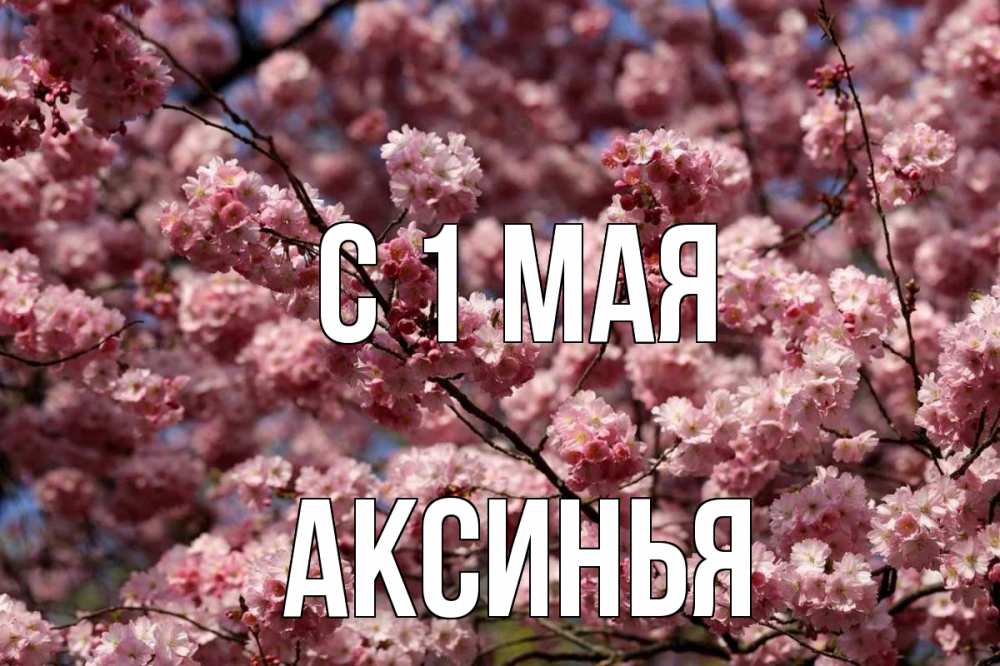 Открытка на каждый день с именем, Аксинья С 1 мая С 1 мая Прикольная открытка с пожеланием онлайн скачать бесплатно 