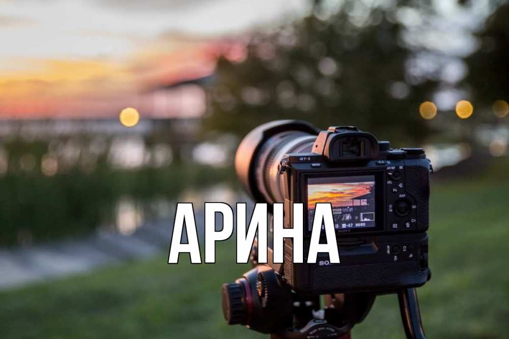 Открытка на каждый день с именем, Арина Главная с днем фотографа Прикольная открытка с пожеланием онлайн скачать бесплатно 