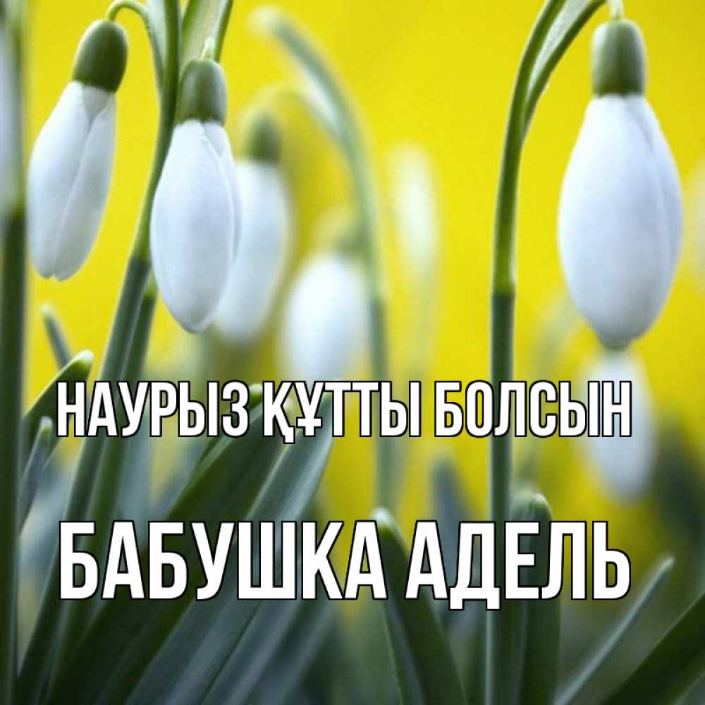 Открытка на каждый день с именем, Бабушка-Адель Наурыз құтты болсын весенние цветы Прикольная открытка с пожеланием онлайн скачать бесплатно 