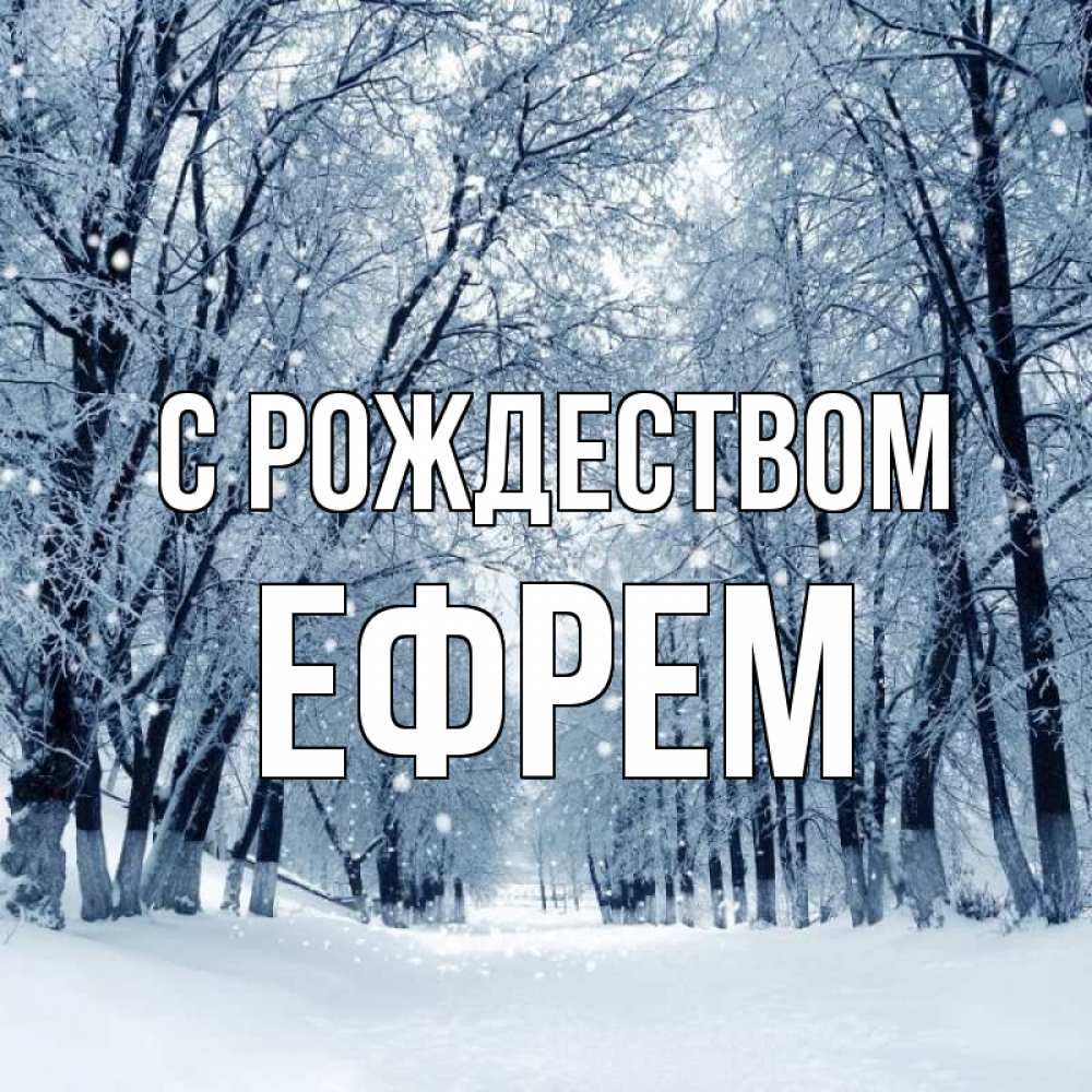 Открытка на каждый день с именем, Ефрем С рождеством снег, лес, парк Прикольная открытка с пожеланием онлайн скачать бесплатно 