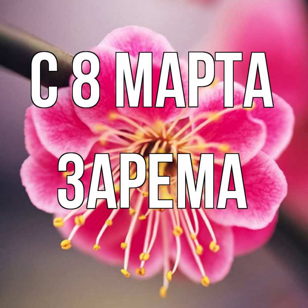 Открытка на каждый день с именем, Зарема С 8 МАРТА цветы Прикольная открытка с пожеланием онлайн скачать бесплатно 