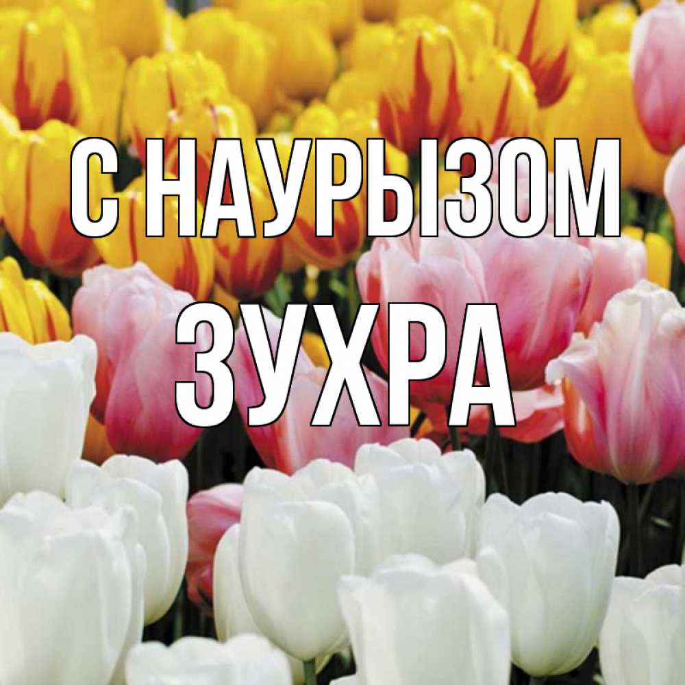 Открытка на каждый день с именем, Зухра С наурызом разноцветные цветы Прикольная открытка с пожеланием онлайн скачать бесплатно 