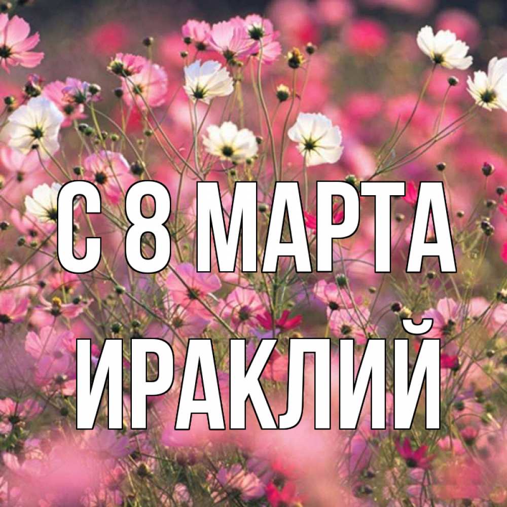 Открытка на каждый день с именем, Ираклий С 8 марта красиво 1 Прикольная открытка с пожеланием онлайн скачать бесплатно 