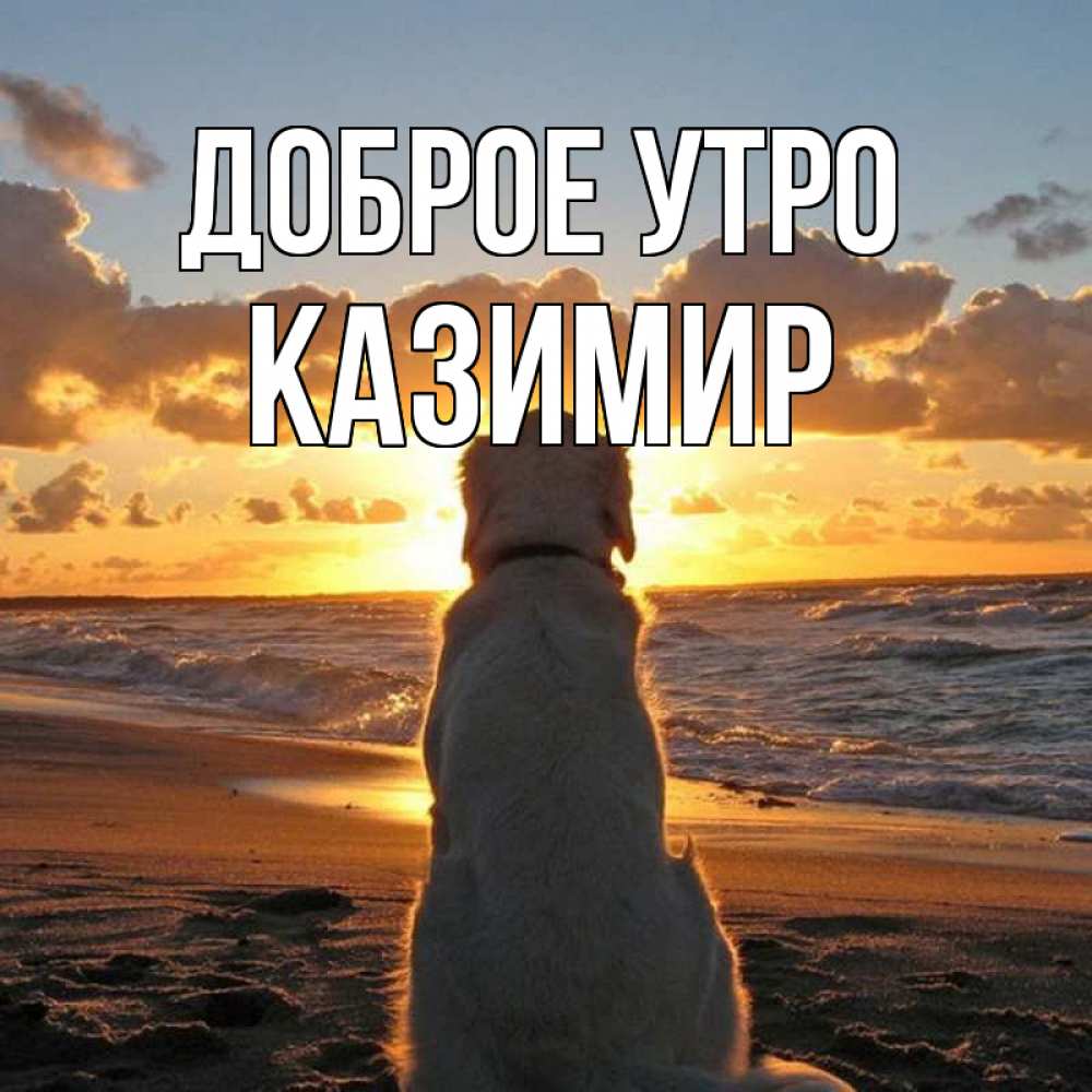Открытка на каждый день с именем, Казимир Доброе утро восход солнца Прикольная открытка с пожеланием онлайн скачать бесплатно 