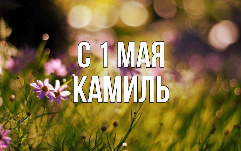 Открытка на каждый день с именем, Камиль С 1 мая С 1 мая Прикольная открытка с пожеланием онлайн скачать бесплатно 