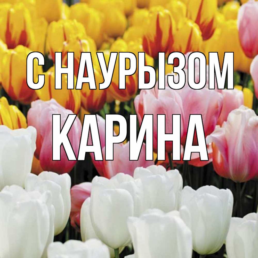 Открытка на каждый день с именем, Карина С наурызом разноцветные цветы Прикольная открытка с пожеланием онлайн скачать бесплатно 