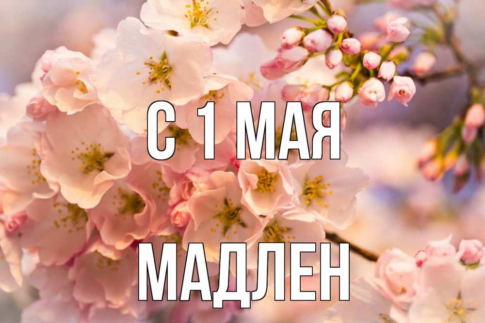 Открытка на каждый день с именем, Мадлен С 1 мая С 1 мая Прикольная открытка с пожеланием онлайн скачать бесплатно 