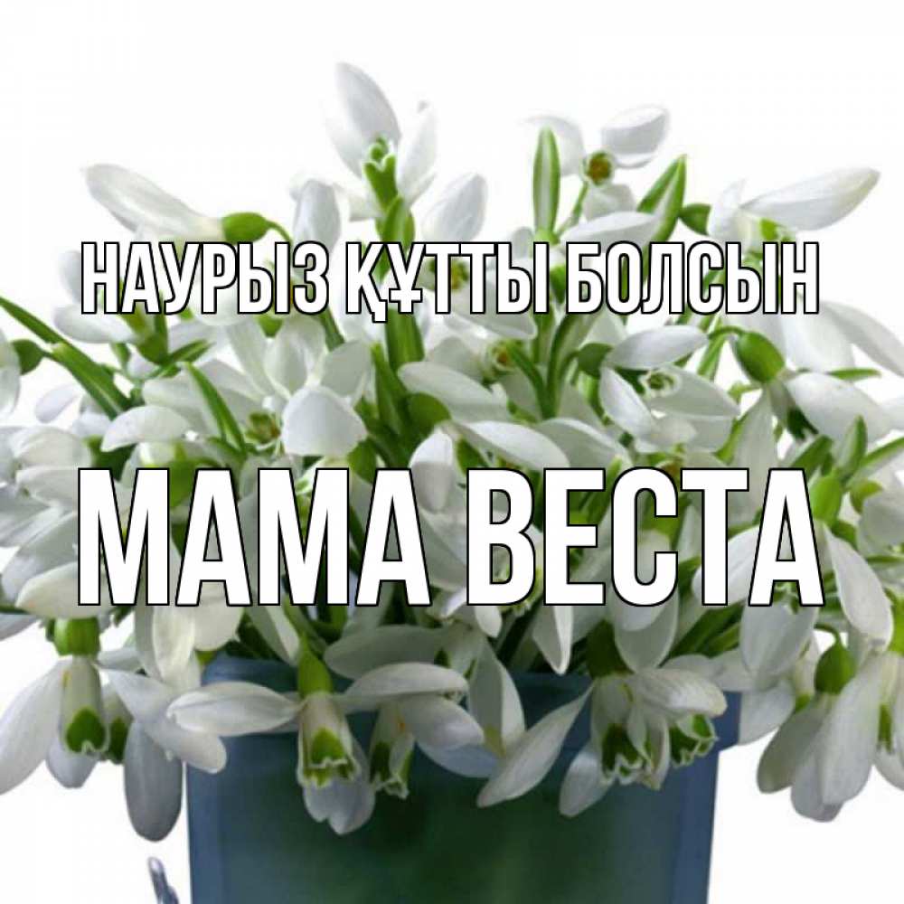Открытка на каждый день с именем, Мама-Веста Наурыз құтты болсын цветы к наурызу Прикольная открытка с пожеланием онлайн скачать бесплатно 