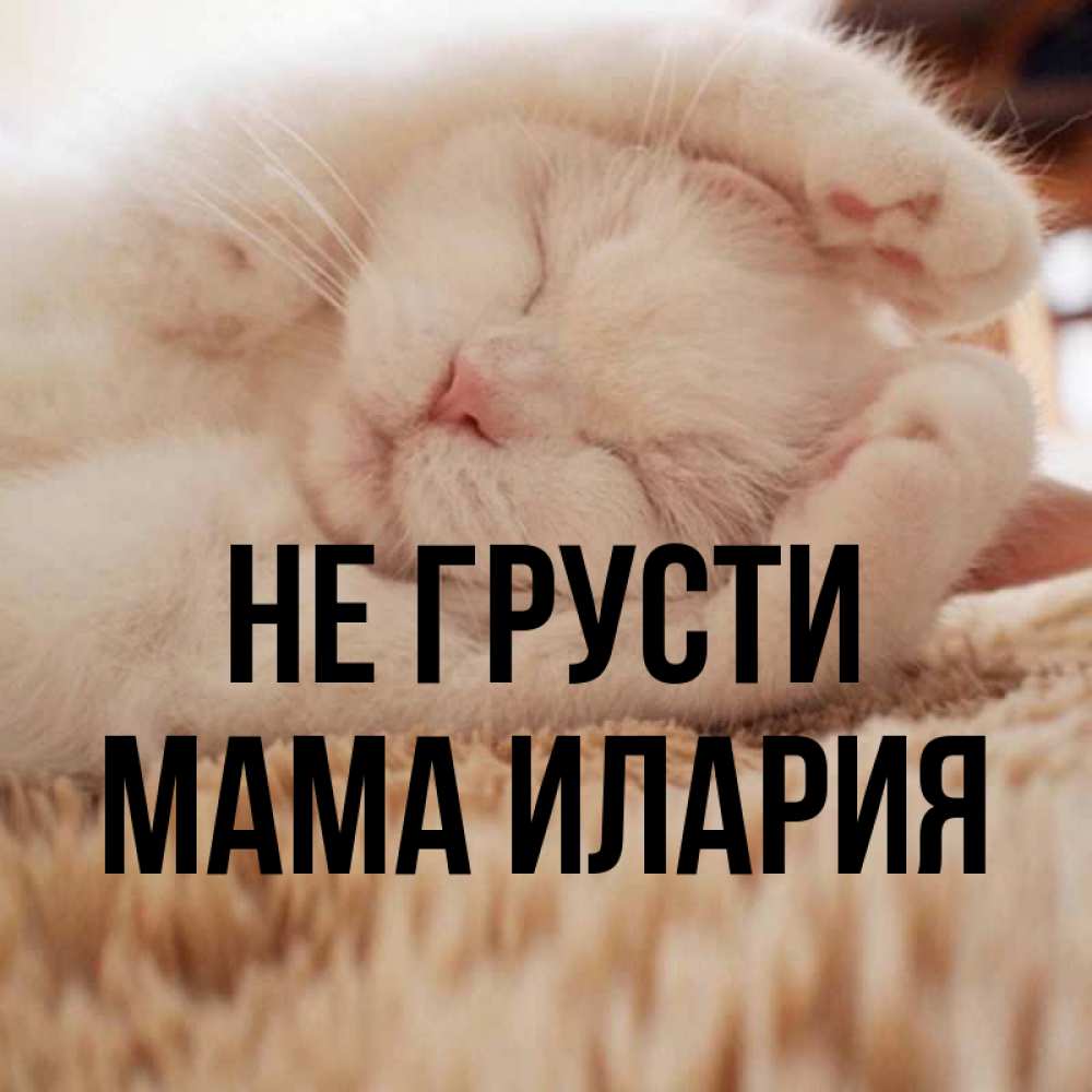 Открытка на каждый день с именем, Мама-Илария Не грусти Котенок спит Прикольная открытка с пожеланием онлайн скачать бесплатно 