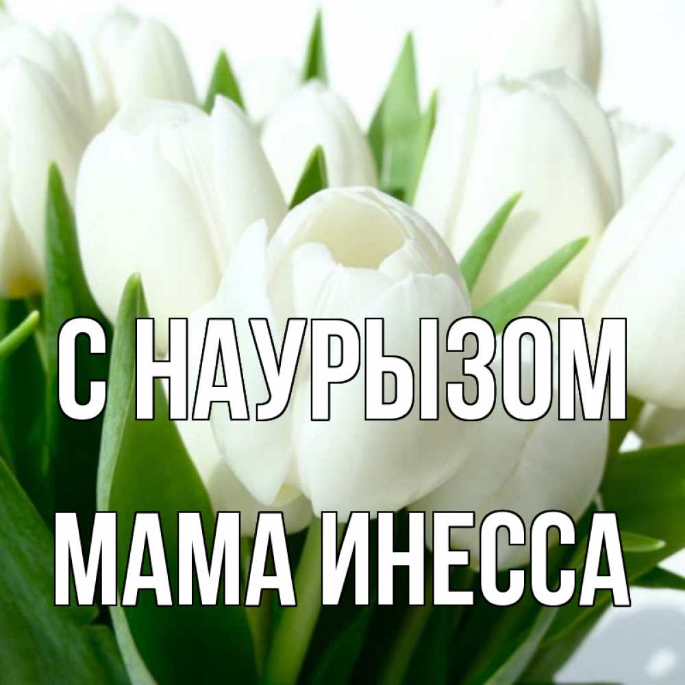 Открытка на каждый день с именем, Мама-Инесса С наурызом цветы Прикольная открытка с пожеланием онлайн скачать бесплатно 
