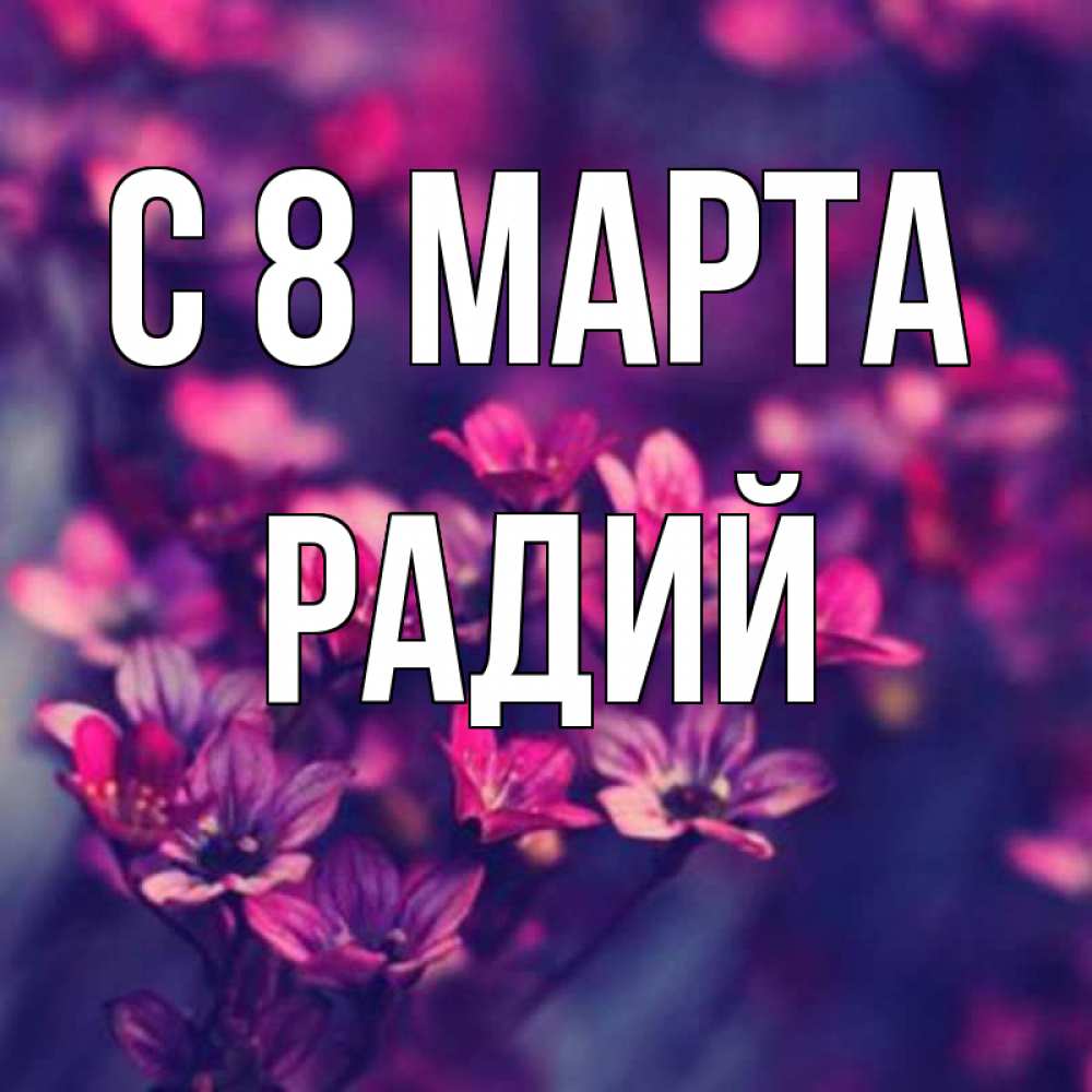 Открытка на каждый день с именем, Радий С 8 МАРТА небольшие цветы 1 Прикольная открытка с пожеланием онлайн скачать бесплатно 