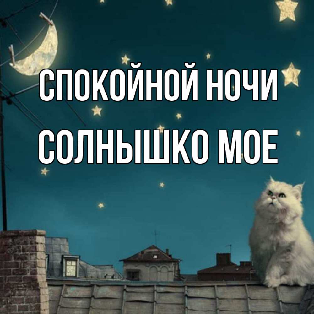 Открытка на каждый день с именем, Солнышко-мое Спокойной ночи белый кот сидит на крыше Прикольная открытка с пожеланием онлайн скачать бесплатно 