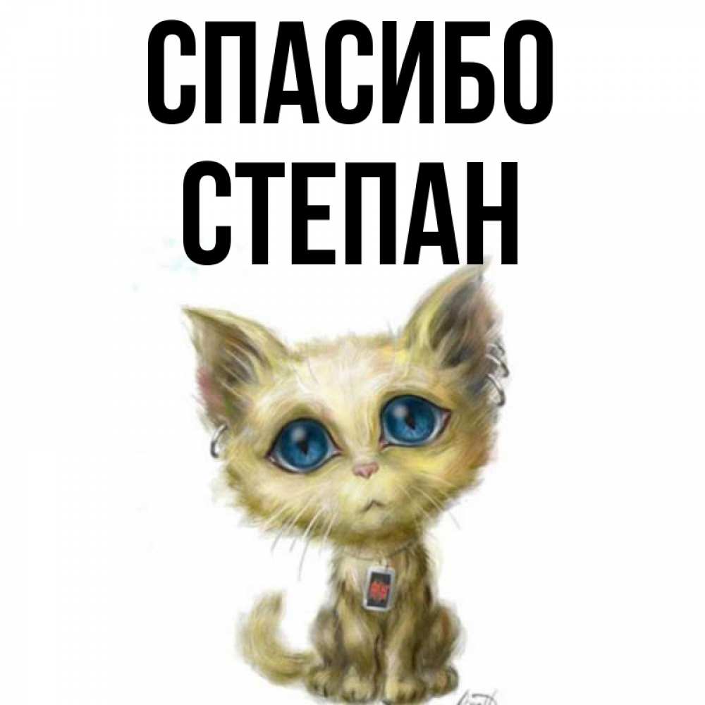 Открытка на каждый день с именем, Степан Спасибо рисованный кот благодарит вас Прикольная открытка с пожеланием онлайн скачать бесплатно 