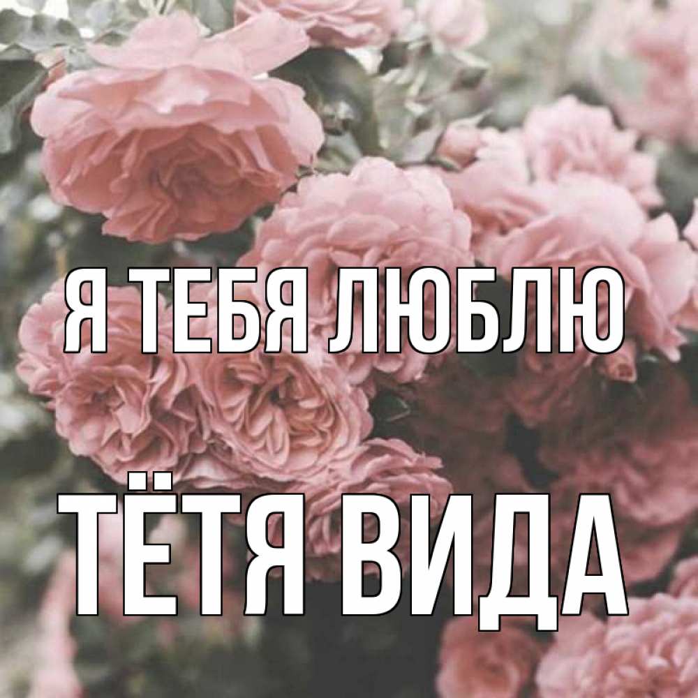 Открытка на каждый день с именем, Тётя-Вида Я тебя люблю розы 3 Прикольная открытка с пожеланием онлайн скачать бесплатно 