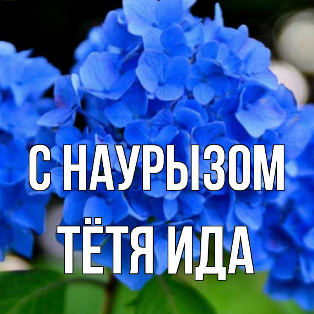 Открытка на каждый день с именем, Тётя-Ида С наурызом синие цветы Прикольная открытка с пожеланием онлайн скачать бесплатно 