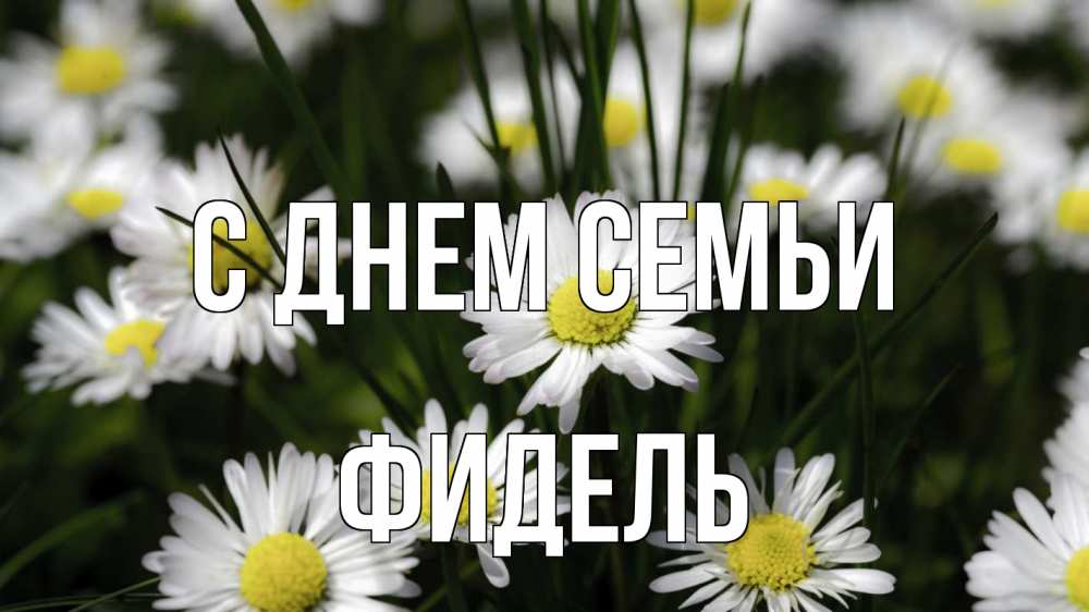 Открытка на каждый день с именем, Фидель С днем семьи с днем семьи  2 Прикольная открытка с пожеланием онлайн скачать бесплатно 