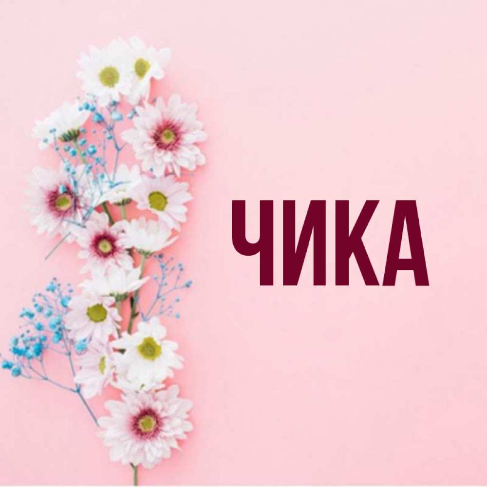 Открытка на каждый день с именем, Чика Главная Родная моя с днем рождения тебя картинка с цветами белыми и голубыми Прикольная открытка с пожеланием онлайн скачать бесплатно 