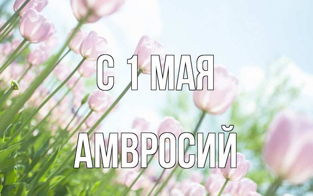 Открытка на каждый день с именем, Амвросий С 1 мая С 1 мая Прикольная открытка с пожеланием онлайн скачать бесплатно 