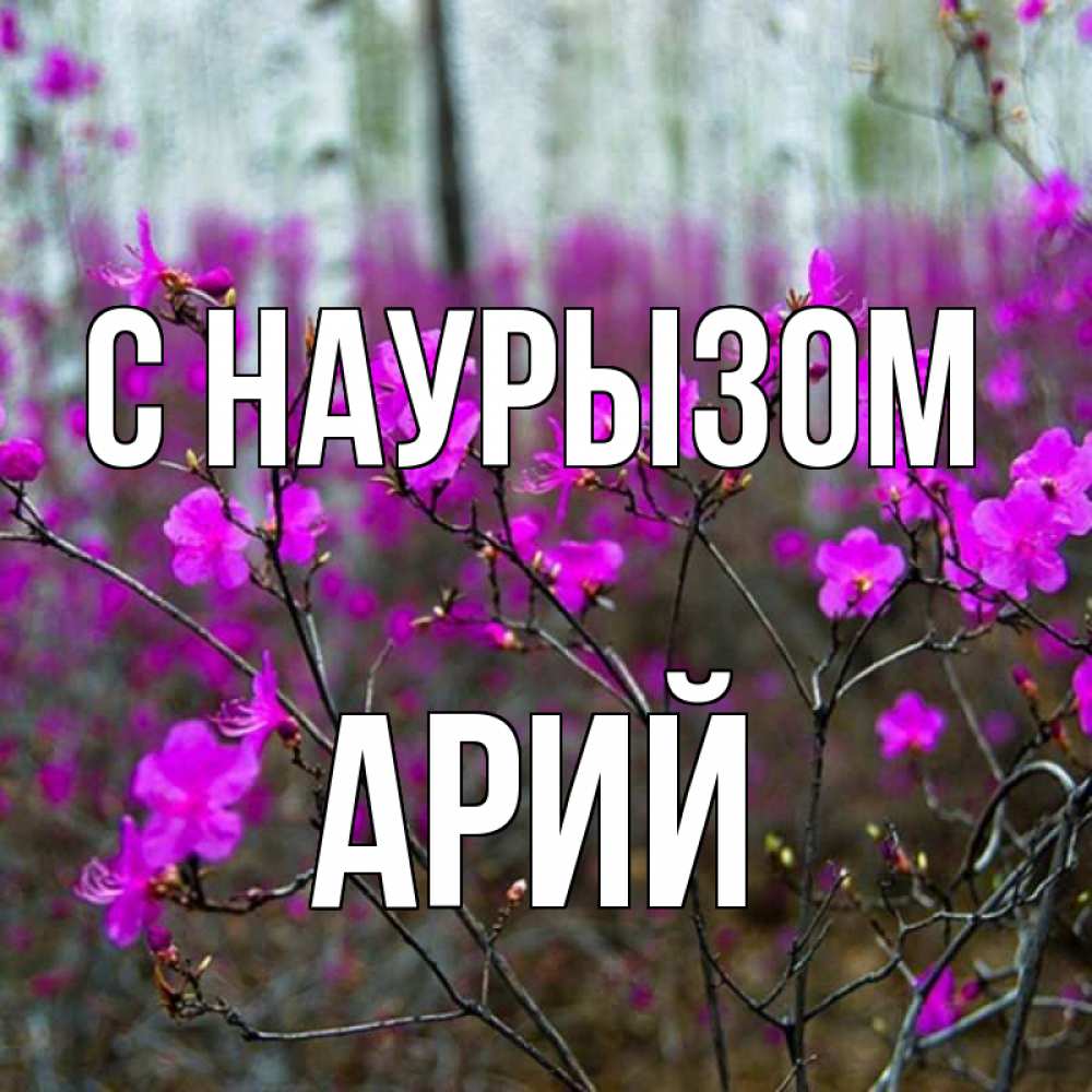 Открытка на каждый день с именем, Арий С наурызом дикие цветы Прикольная открытка с пожеланием онлайн скачать бесплатно 