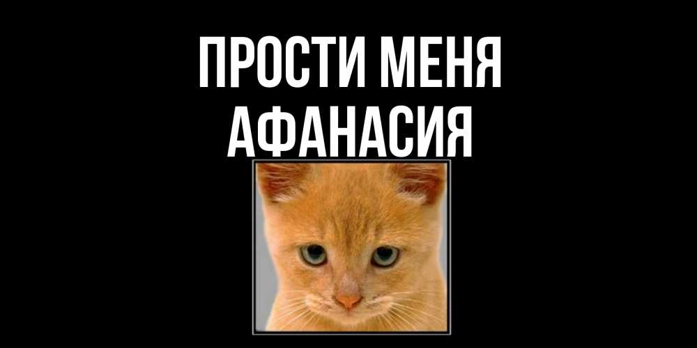Открытка на каждый день с именем, Афанасия Прости меня рыжий грустный кот просит прощения Прикольная открытка с пожеланием онлайн скачать бесплатно 