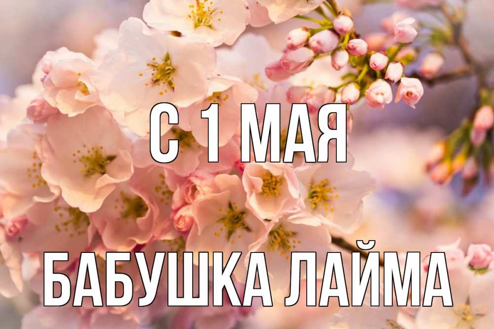 Открытка на каждый день с именем, Бабушка-Лайма С 1 мая С 1 мая Прикольная открытка с пожеланием онлайн скачать бесплатно 
