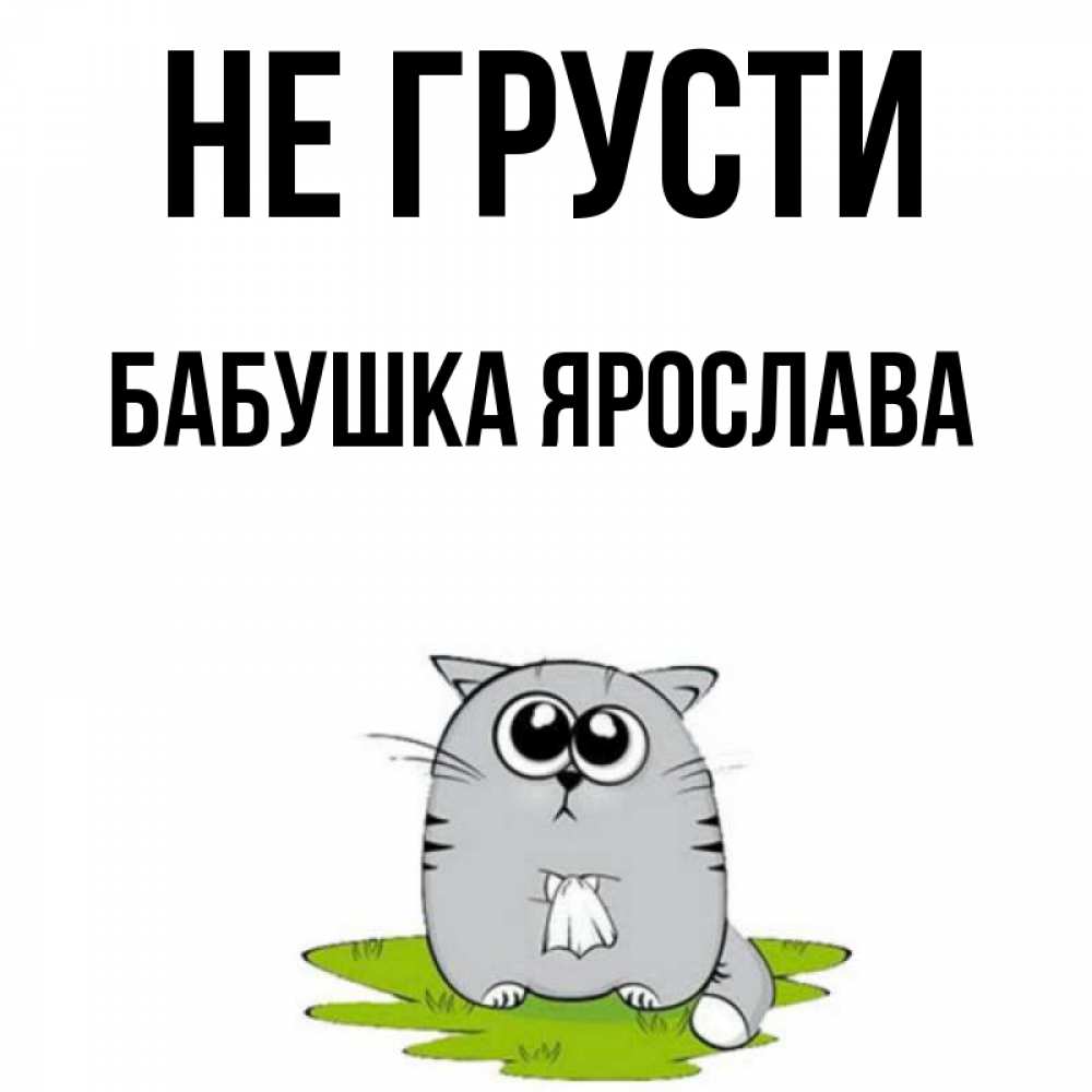 Открытка на каждый день с именем, Бабушка-Ярослава Не грусти грустный котяра Прикольная открытка с пожеланием онлайн скачать бесплатно 