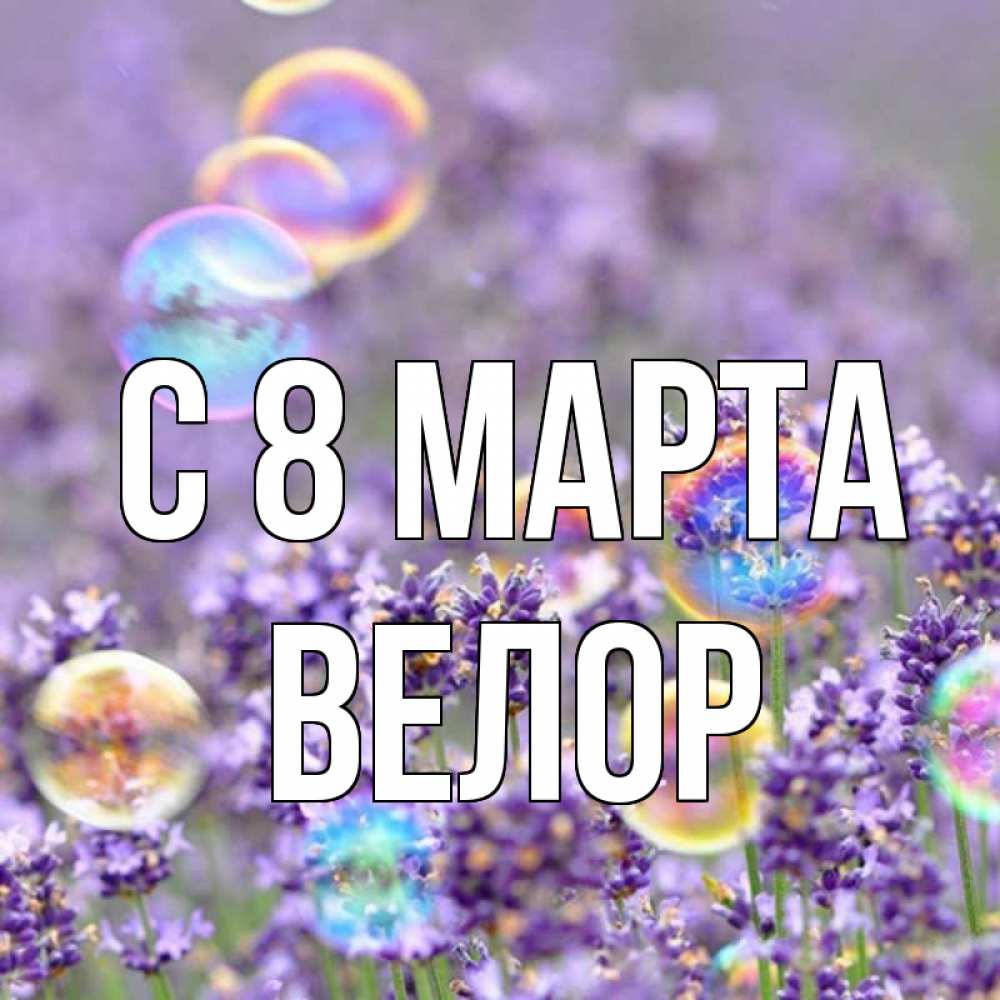 Открытка на каждый день с именем, Велор С 8 МАРТА цветы Прикольная открытка с пожеланием онлайн скачать бесплатно 