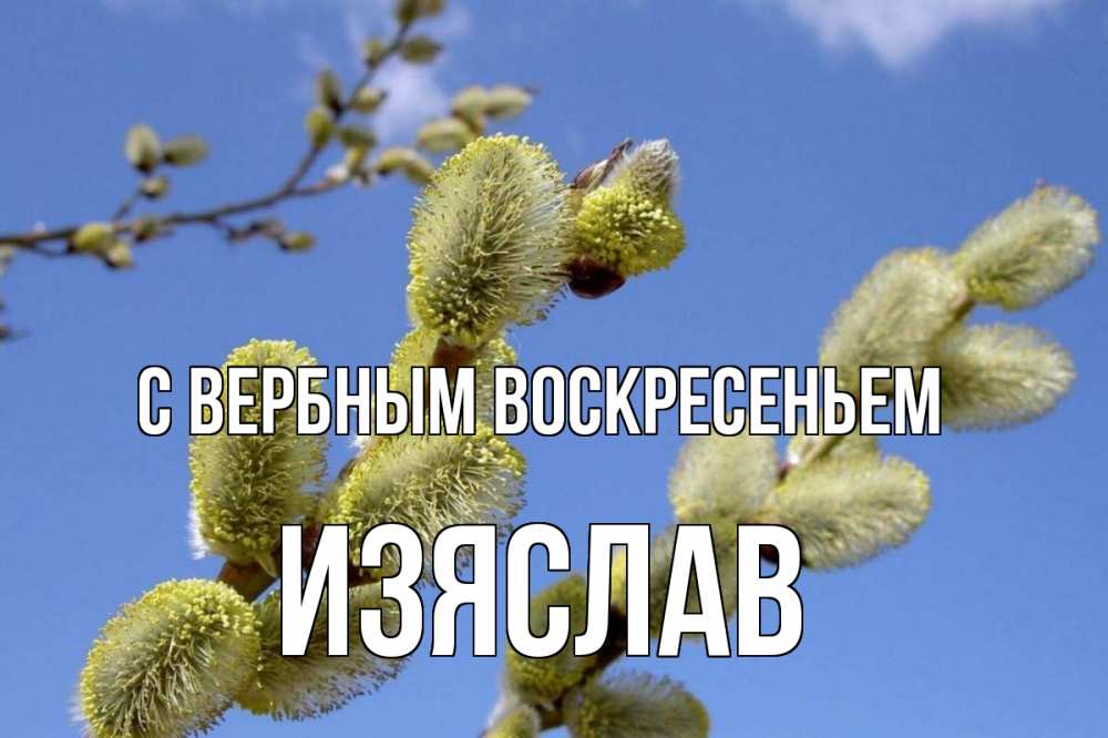 Открытка на каждый день с именем, Изяслав С вербным воскресеньем верба Прикольная открытка с пожеланием онлайн скачать бесплатно 