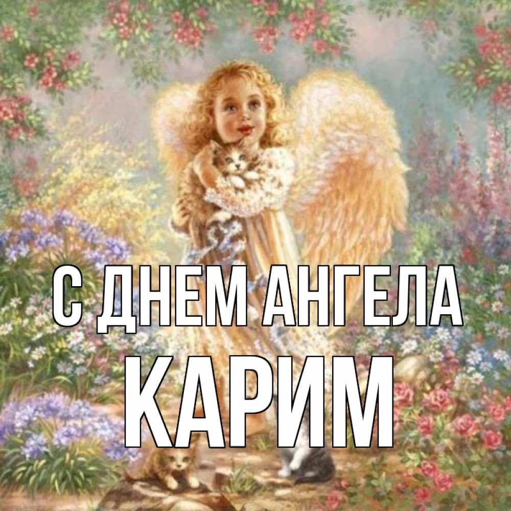 Открытка на каждый день с именем, Карим С днем ангела держит котенка Прикольная открытка с пожеланием онлайн скачать бесплатно 
